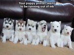 Puppy Printer.jpg