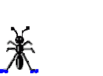 ant-jumping-animated.gif