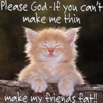 untitledKittenwithprayer.jpg~c200.jpg