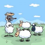 wolf_in_sheep_s_clothing1.jpg wolf_in_sheep_s_clothing1.jpg
