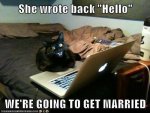 28065-She-wrote-back-hello-were-goin-rHKC.jpeg