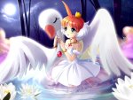 princess_tutu.jpg princess_tutu.jpg