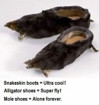 mole shoes.jpg