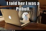 online-dating2-1h3togt.jpg