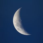 p1016650717-3.jpg