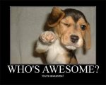 whos_awesome-300x240.jpg whos_awesome-300x240.jpg