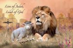 lamb of god.jpg
