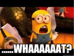 Minion-Meme.jpg