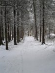20161106_115307.jpg 20161106_115307.jpg
