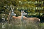 Psalm 63v8.jpg