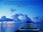 Psalm 119v15.jpg