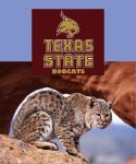 bobcats.jpg