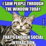 FB_IMG_1483456841829.jpg