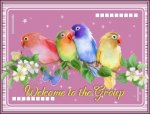 welcome-to-the-group-birds.jpg