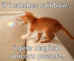 catching-rainbows-unicorn-cat-meme.jpg