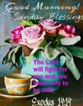 Exodus 14v14- Sunday.jpg Exodus 14v14- Sunday.jpg