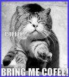 Bring Me Coffee.jpg Bring Me Coffee.jpg