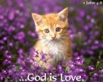 36d8d527bc0dbdf0fda37f7a4323e7da.jpg