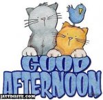 Afternoon Cats.jpg Afternoon Cats.jpg
