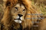 1 Corinthians 8v3.jpg