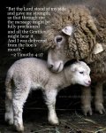 2 Timothy 4v17.jpg