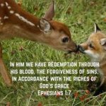 Ephesians 1v7.jpg