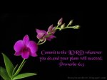 christian-bible-verse-proverbs_80874.jpg