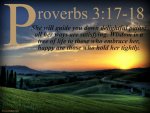 6868386002_752e6f4eae_b.jpg
