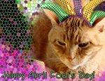 April Fools Kitty.jpg April Fools Kitty.jpg