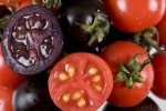 Purple Tomato.jpg