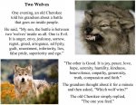 two-wolves.jpg