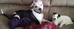 20170324_095954.jpg 20170324_095954.jpg