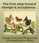 Allow Change.jpg