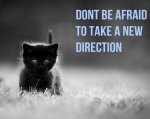 A New Direction.jpg