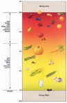 high acid veges and fruit.jpg