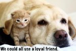A Loyal Friend.jpg