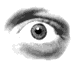 animated-eye-image-0008.gif animated-eye-image-0008.gif