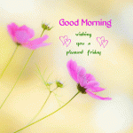 dayGood-Morning-Wishing-You-A-Pleasant-Friday.gif