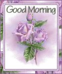 GoodMorningPurpleRose.jpg