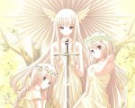 angelanime.jpg angelanime.jpg