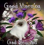 Good-Morning-God-Bless-You-.jpg