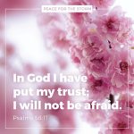 I-Will-Not-Be-Afraid.jpg