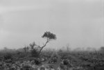 7865396-3x2-700x467.jpg