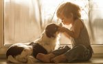 doglove.jpg