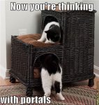 portalcat.jpg