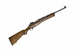 Shootingtimesministandard-F.jpg