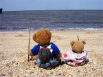 TeddyBearFishing.jpg