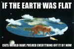 if-the-earth-was-flat-cats-would-have-pushed-everything-21413617.png