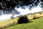 30237771394_1e7cd50dc7_o.jpg