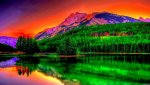 most-beautiful-4.jpg